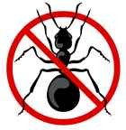 # 1 Pest Control